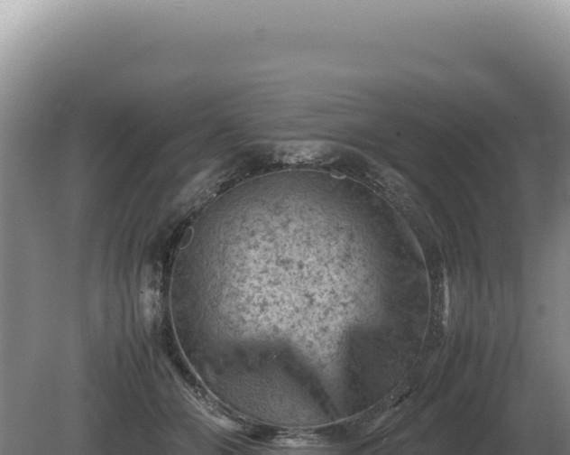 X0000081470510200701191809