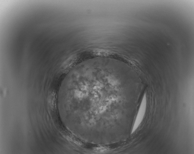 X0000081470511200701191809