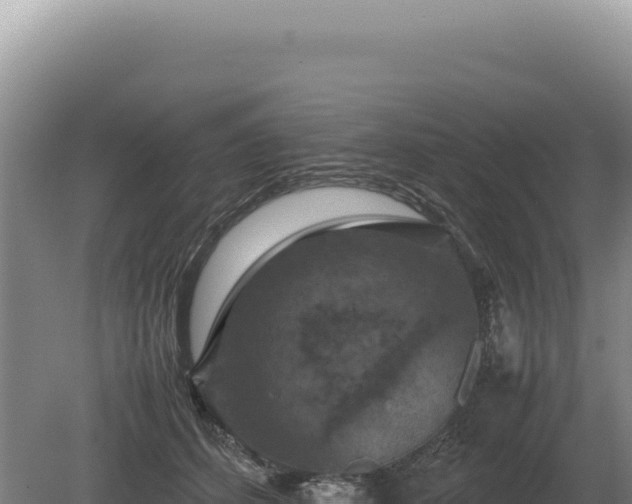 X0000081470512200701191809