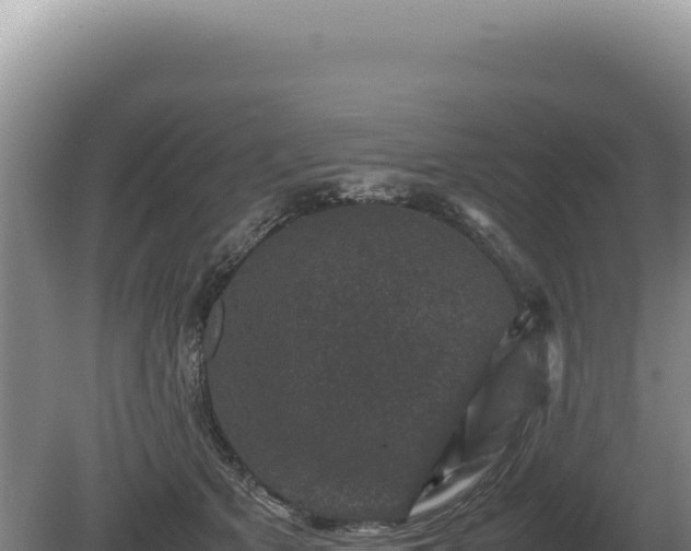 X0000081470513200701191809