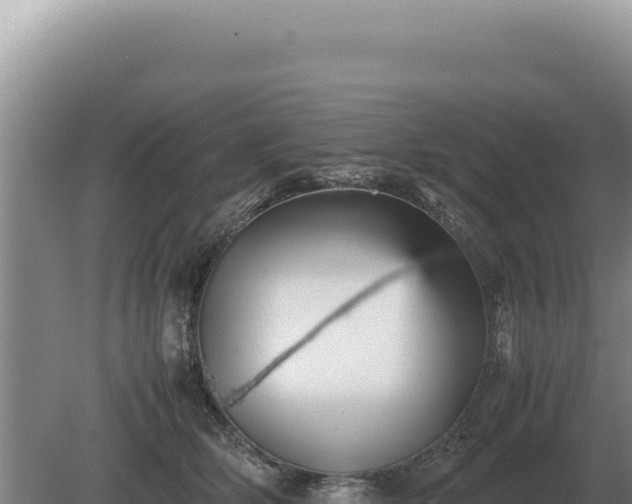 X0000081470514200701191809