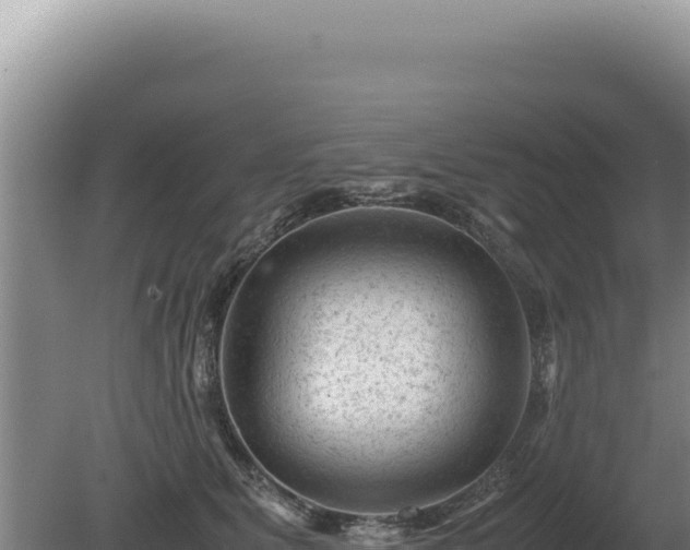 X0000081470515200701191809