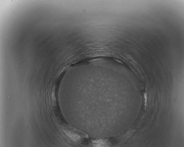 X0000081470516200701191809