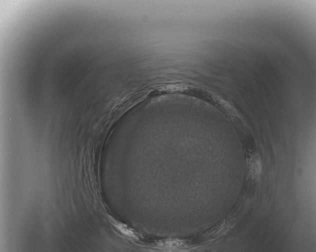 X0000081470517200701191809