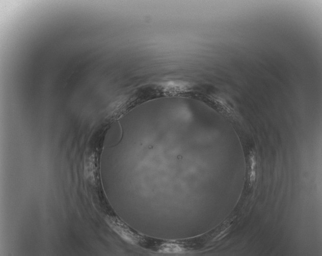 X0000081470519200701191809