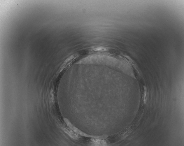 X0000081470520200701191809