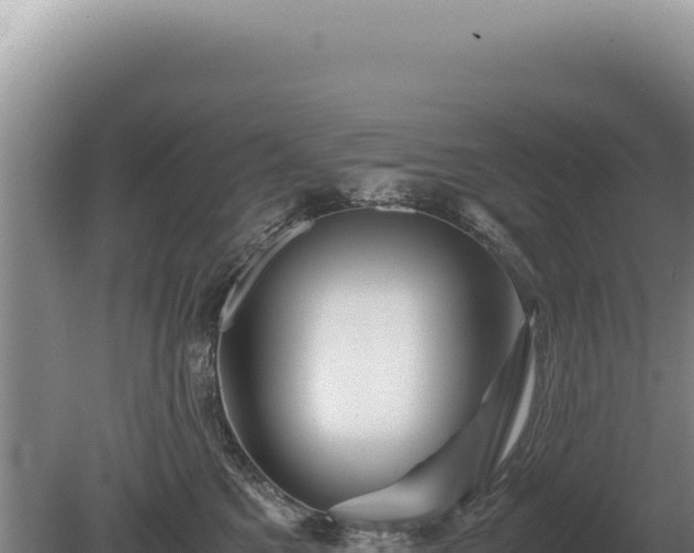 X0000081470521200701191809