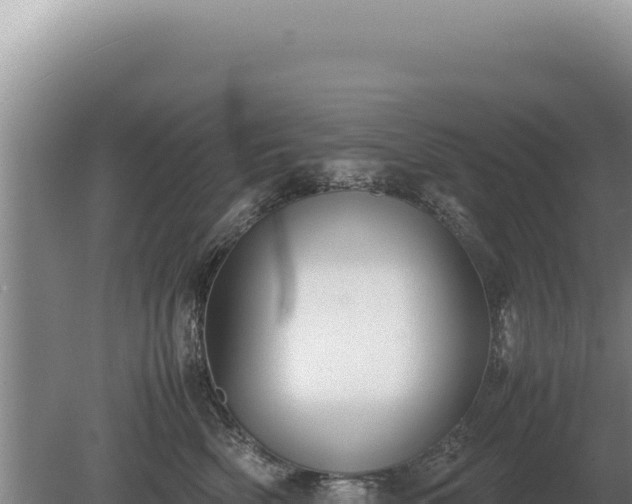 X0000081470522200701191809