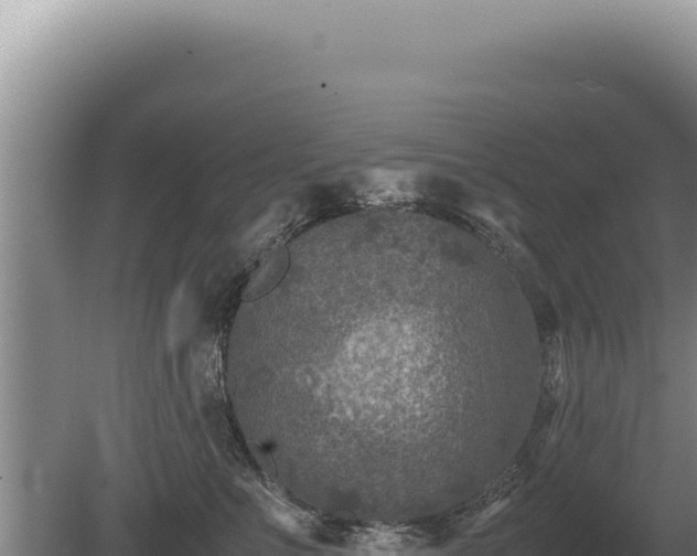 X0000081470523200701191809