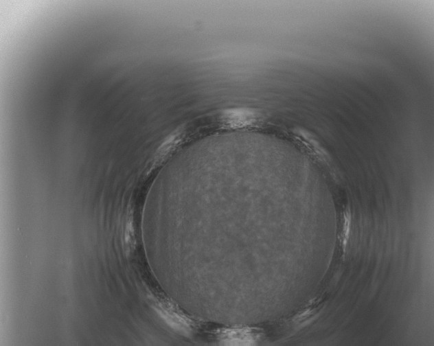 X0000081470524200701191809