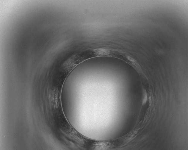 X0000081470525200701191809