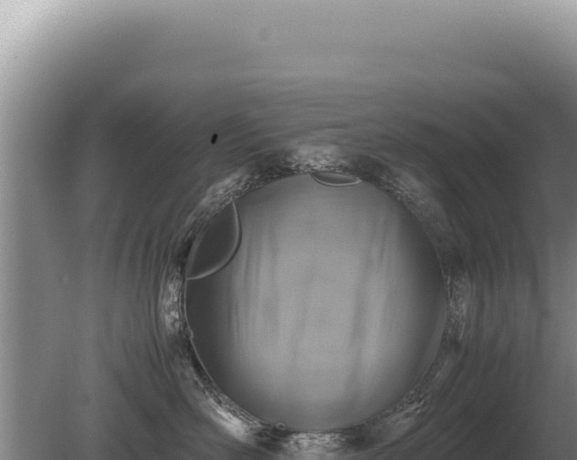 X0000081470526200701191809