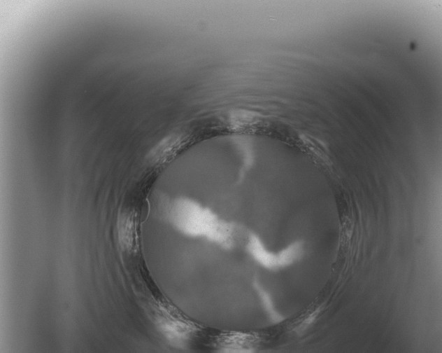 X0000081470527200701191809