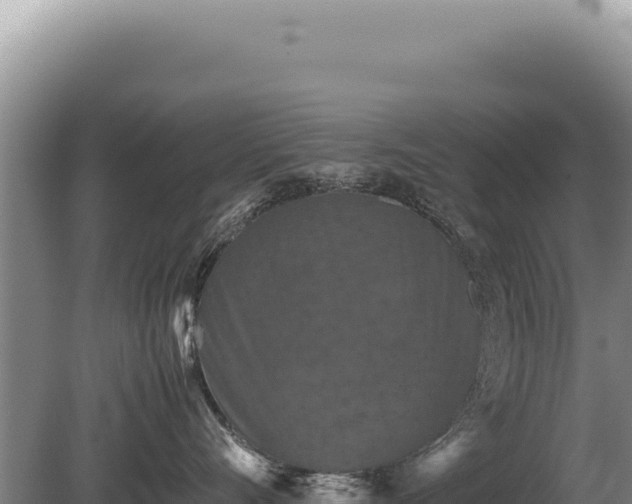 X0000081470528200701191809