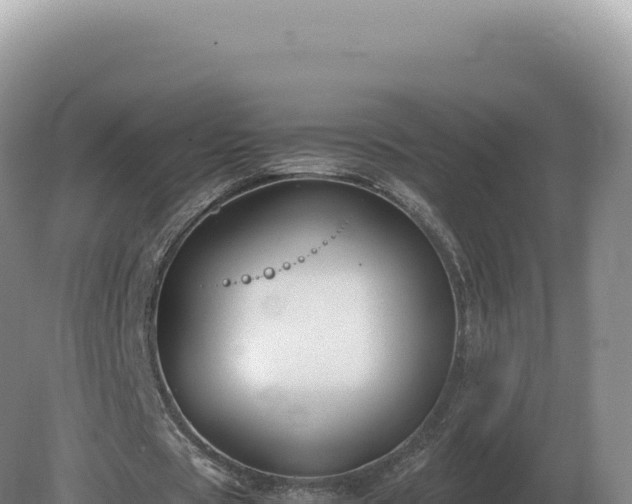 X0000081470529200701191808