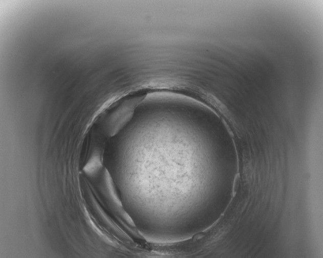 X0000081470530200701191808