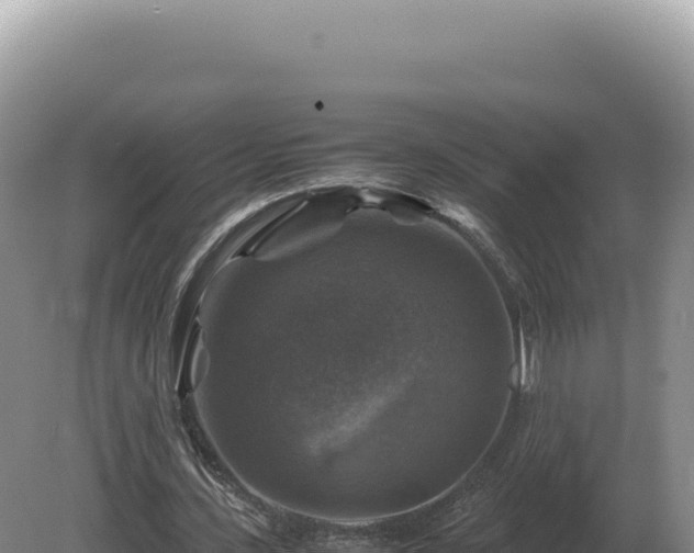 X0000081470531200701191808