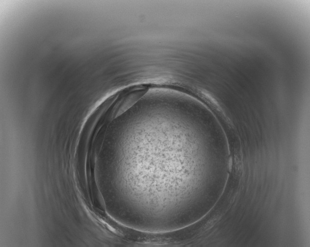 X0000081470532200701191808