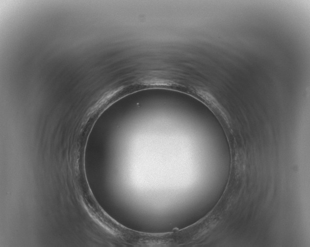 X0000081470533200701191808