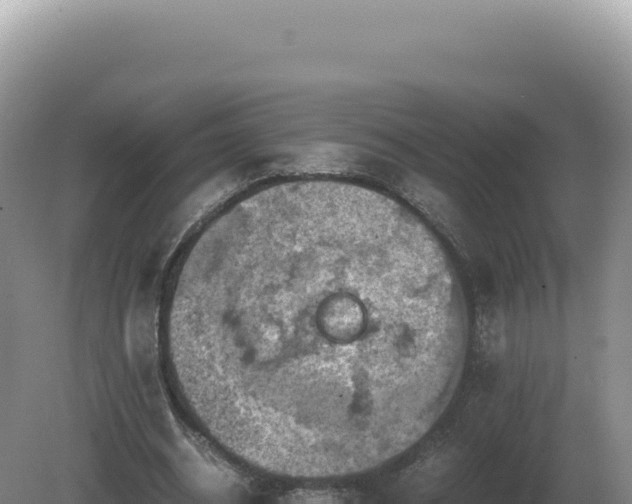 X0000081470534200701191808