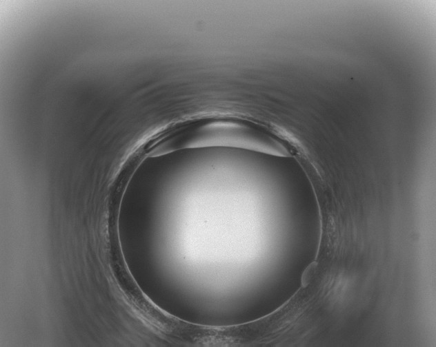 X0000081470535200701191808