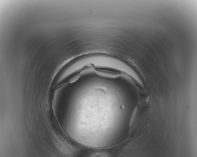 X0000081470536200701191808