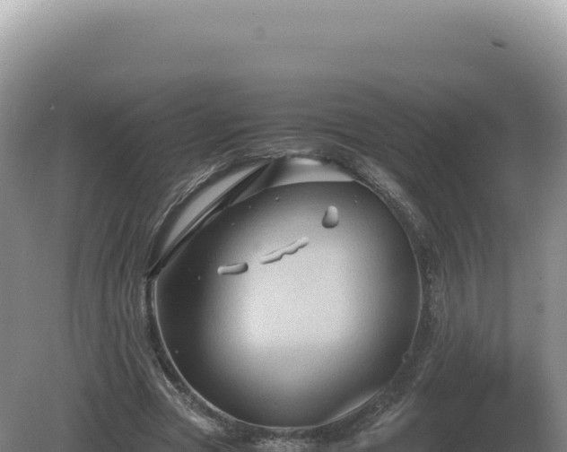 X0000081470537200701191808