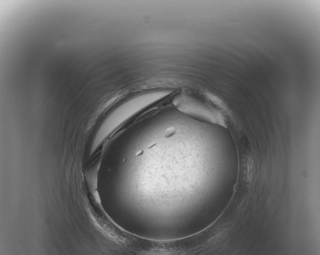 X0000081470538200701191808