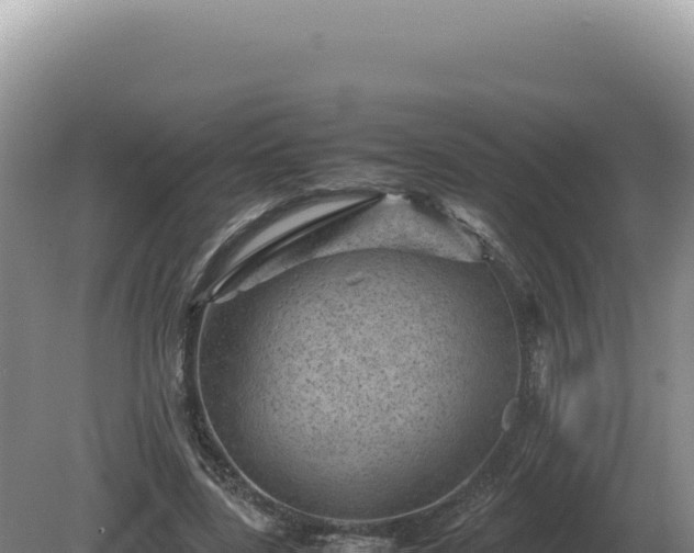 X0000081470539200701191808