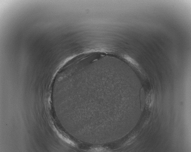 X0000081470540200701191808