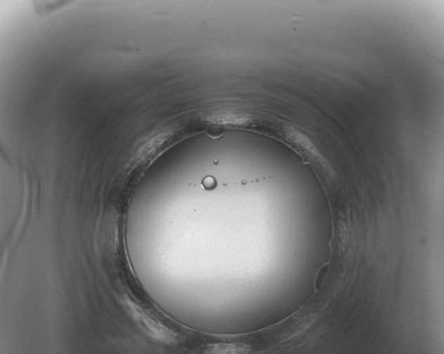 X0000081470541200701191808