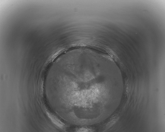 X0000081470542200701191808