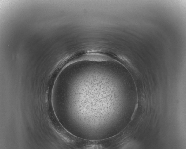 X0000081470543200701191808