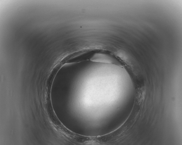 X0000081470544200701191808