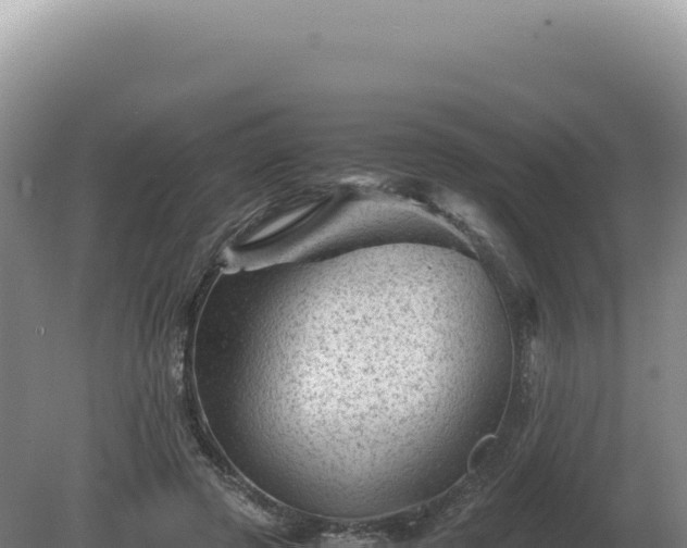 X0000081470545200701191808