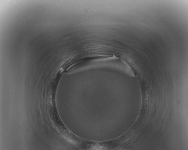 X0000081470547200701191808