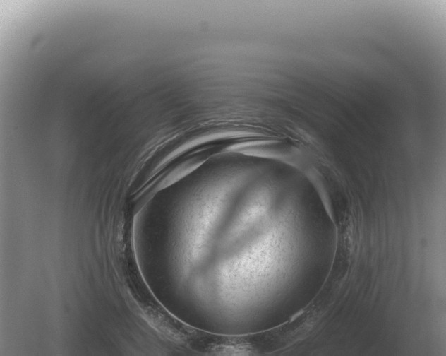 X0000081470548200701191808