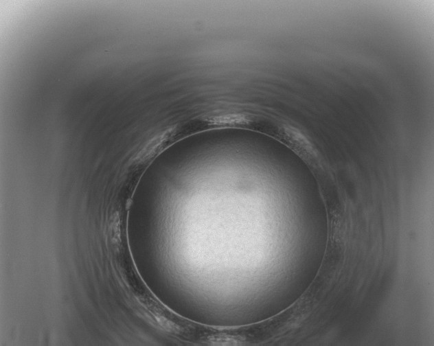 X0000081470549200701191808