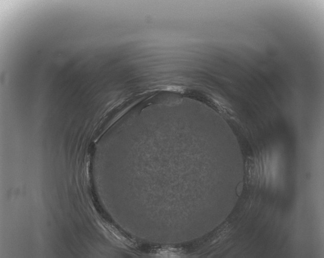 X0000081470550200701191808