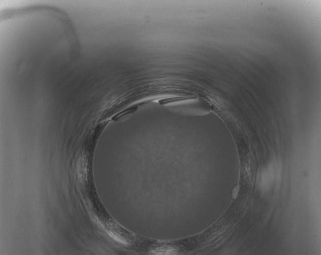 X0000081470551200701191808