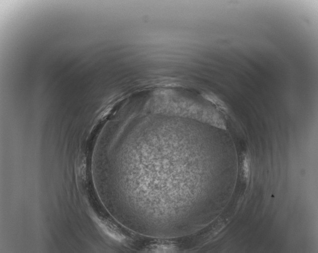 X0000081470552200701191808