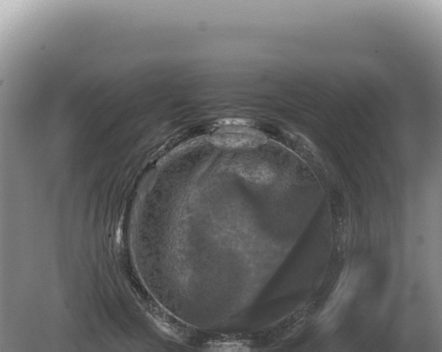 X0000081470553200701191808