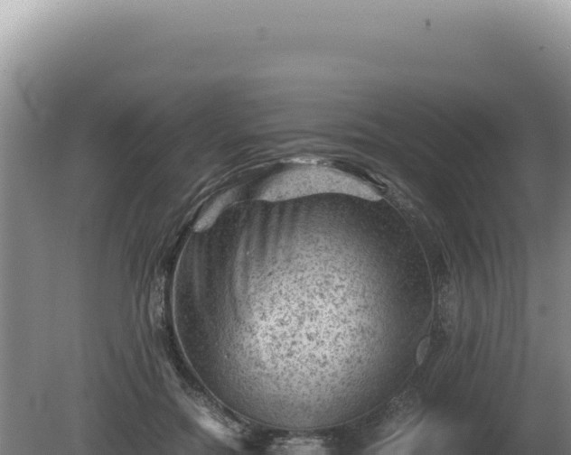 X0000081470554200701191808