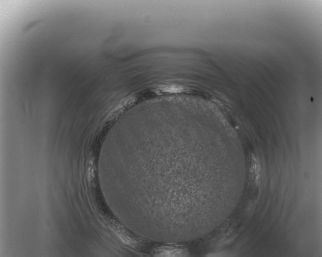 X0000081470555200701191808