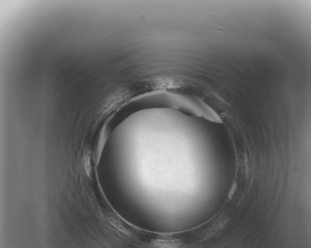 X0000081470556200701191808