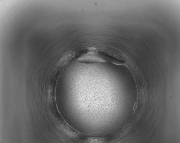 X0000081470557200701191808