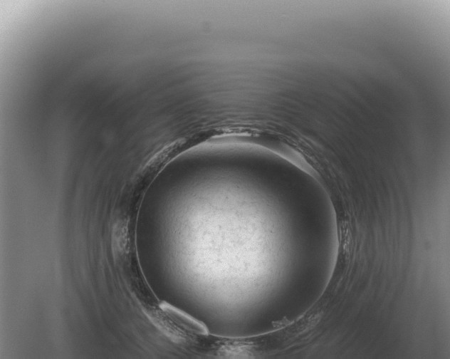 X0000081470560200701191809