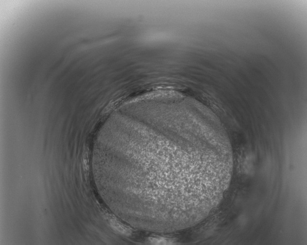 X0000081470561200701191809