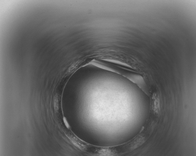 X0000081470562200701191809