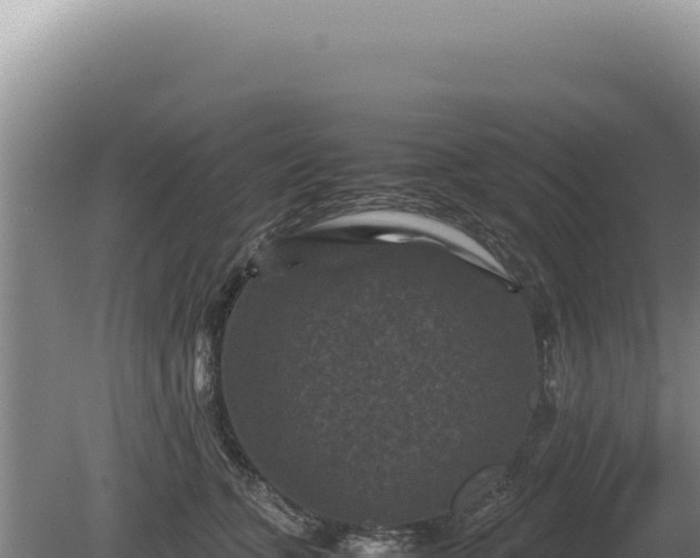 X0000081470563200701191809